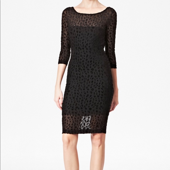 FC "Mini Simba Devore" black leopard print dress - Picture 6 of 6